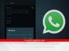 WhatsApp Without Internet: इंटरनेटशिवायही चालू शकते WhatsApp, कसं ते जाणून घ्या...