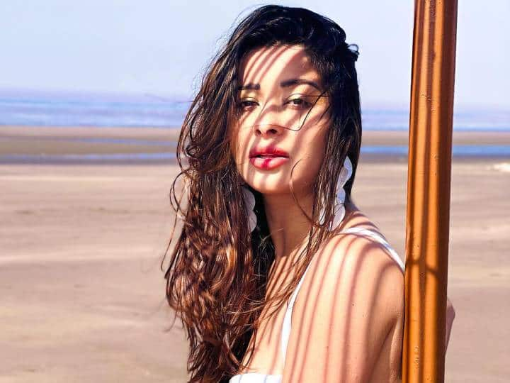 Nyrraa Banerji Bikini Pics: टीवी की जानी-मानी एक्ट्रेस नायरा बनर्जी (Nyra Banerjee) ने बिकिनी की तस्वीरें शेयर सोशल मीडिया पर तहलका मचा दिया है. उनकी फोटोज देख फैंस की धड़कनें तेज हो गई हैं.