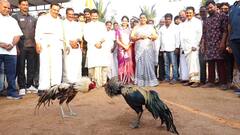 Minister Roja Sankranthi Sambaralu :పోలీసుల సంక్రాంతి సంబరాల్లో మంత్రి రోజా | DNN | ABP Desam