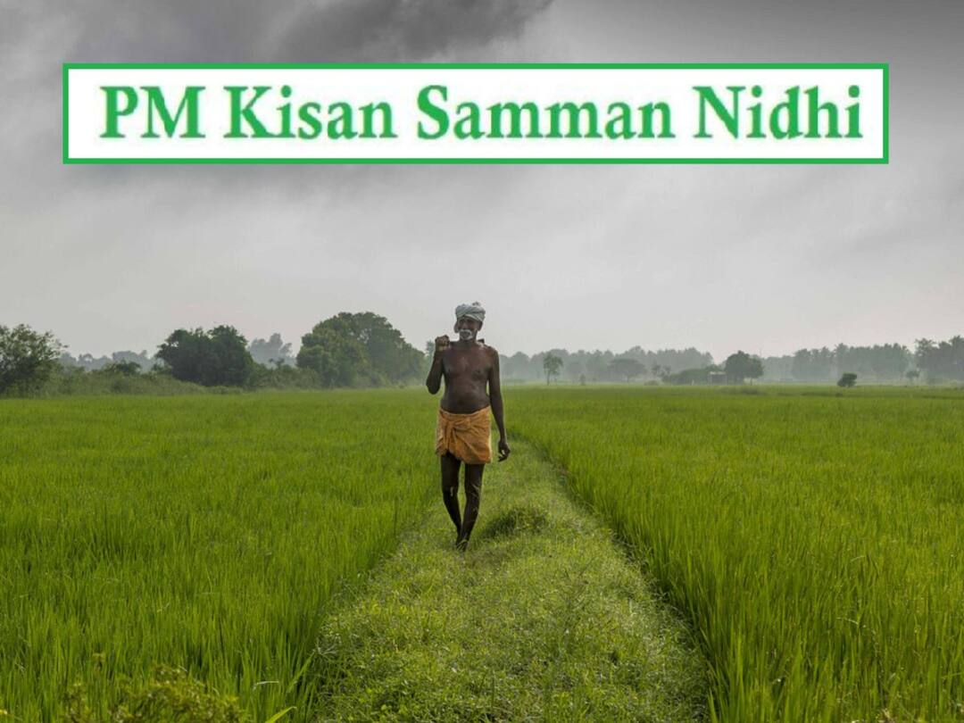 if-pm-kisan-scheme-beneficiary-dies-who-gets-thereafter-benefit details PM Kisan Samman Nidhi: పీఎం కిసాన్ లబ్ధిదారు రైతు చనిపోతే, ప్రభుత్వ సాయం ఎవరికి అందుతుంది?