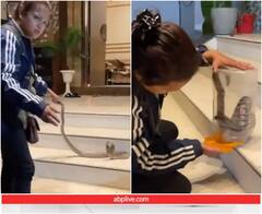 घर में निकला सांप तो महिला ने किया हैरतअंगेज रेस्क्यू, पलक झपकते ही डिब्बे में कर दिया बंद