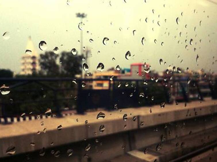 Light Rains Expected In Delhi, Cold Wave To Continue In Several States, Predicts Weatherman Light Rains Expected In Delhi, Cold Wave To Continue In Several States, Predicts Weatherman