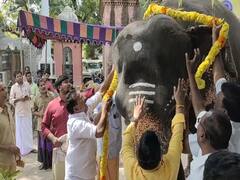 யானையுடன் பொங்கல் கொண்டாடிய மயிலாடுதுறை நகராட்சி ஊழியர்கள்