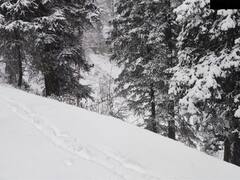 Snowfall In Higher Reaches Of Shimla, Light To Moderate Snowfall Forecast At Isolated Places In Himachal — SEE PICS