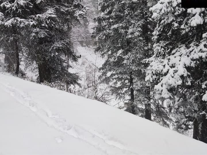 This visual is from a hill in the Narkanda area of Shimla. Heavy snowfall eluded the mid and higher hills while light to moderate snowfall and rain was reported from isolated places as maximum temperatures rose appreciably across Himachal Pradesh on Thursday. (Image Source: Twitter | @ANI)