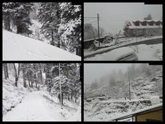 Snowfall In Higher Reaches Of Shimla, Light To Moderate Snowfall Forecast At Isolated Places In Himachal — SEE PICS