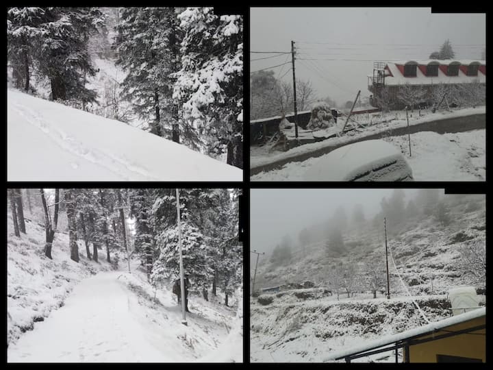 Higher regions in Himachal Pradesh's Shimla continue to receive snowfall. Narkanda area & Mandhol village are two of the regions where the snowfall continued. IMD has predicted light rainfall as well.