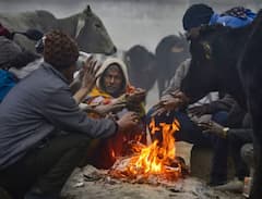 Photo : उत्तर भारतात थंडीची लाट येण्याची शक्यता