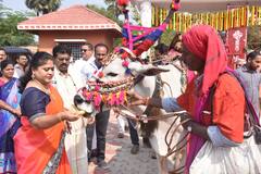 Sankranti Celebration : విజయనగరంలో క‌న్నుల పండుగగా సంక్రాంతి సంబ‌రాలు