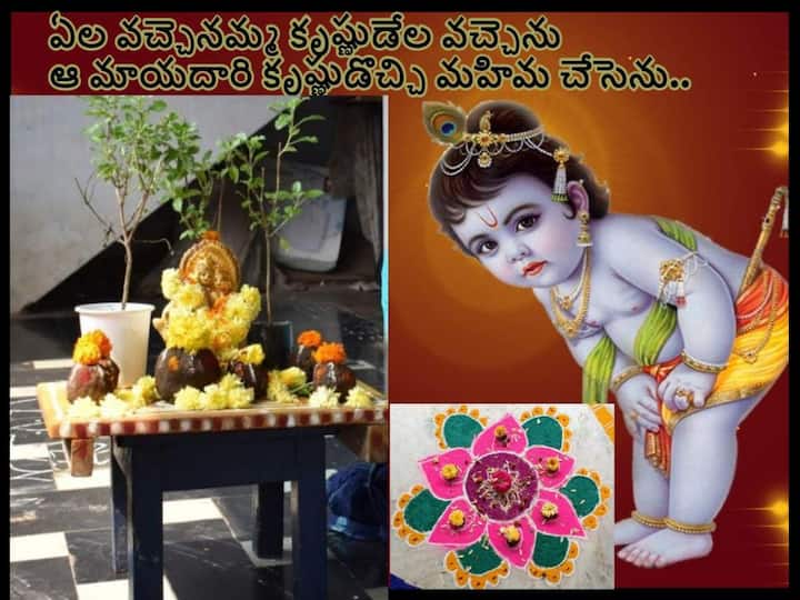 Sankranthi Festival 2023 Gobbilla Patalu, Gobbilla songs in telugu Sankranthi Gobbilla Patalu In Telugu: బంతి పువ్వంటి బావ నివ్వవే -సంక్రాంతి గొబ్బిళ్ల పాటలు మీకోసం