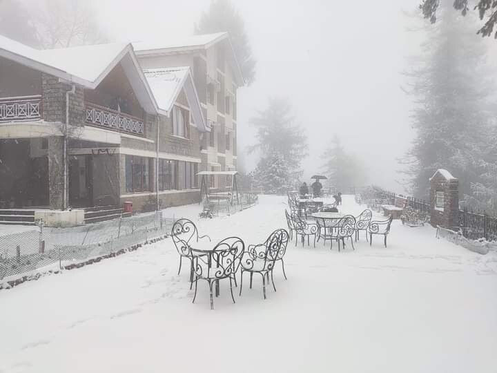 Shimla Snowfall: शिमला जाने वाले पर्यटकों के लिए खुशखबरी, होटल में 40 फीसदी तक की छूट, इन इलाकों में लें स्नो का मजा