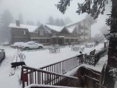 शिमला जाने वाले पर्यटकों के लिए खुशखबरी, होटल में 40 फीसदी तक की छूट