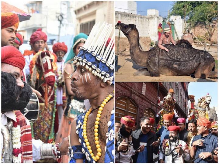 The Bikaner Camel Festival is a two-day event held this year on January 12 and 13. The celebration celebrates the 