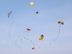 मकर संक्रांति पर हैदराबाद के धार्मिक स्थलों के आसपास पतंग उड़ाने पर रोक, पुलिस ने जारी किया आदेश