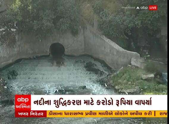 Vadodara : વિશ્વામિત્રી નદી બની પ્રદુષિત, નદીમાં છોડાય છે ગટરના પાણી