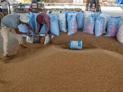 Photo :  गहू निर्यातीबाबत केंद्र सरकार घेणार मोठा निर्णय