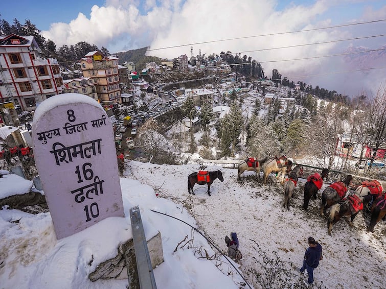 Tourists Throng Shimla After Light Snowfall; Hotel Occupancy Rises By 10-15 Percent