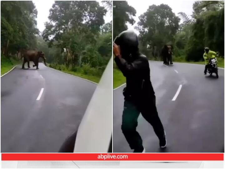 An angry elephant suddenly appeared in middle of forest attacked people Viral Video: जंगल के बीच अचानक आ गया गुस्सैल हाथी, जान बचाकर भागते नजर आए लोग
