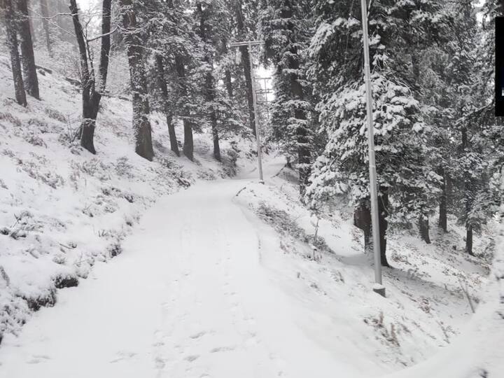 Himachal Pradesh continues to receive snowfall. IMD has forecasted more rains and snowfall in the mid and high hills in the state for three more days. (Image Source: Twitter | @ANI)