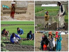 IN PICS | A Glimpse At Life Under Taliban Rule In Afghanistan In 2023