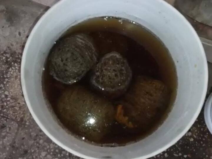 Bihar News Eight live bombs recovered from fruit basket in Hajipur ann Bihar News: हाजीपुर में बम से दहलाने की साजिश हुई नाकाम, फलों की टोकरी से आठ विस्फोटक बरामद