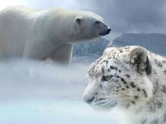 जो इंसान कड़ाके की सर्दी नहीं झेल पा रहा है क्या वह हिमयुग झेल पाएगा, जानिए क्या कहता है विज्ञान?