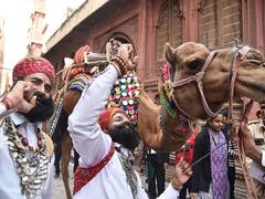 Bikaner Camel Festival Celebrates 'The Ship Of The Dessert' – SEE PICS