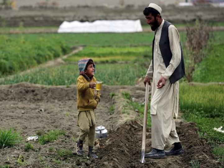 After assuming power in August 2021, the Taliban persisted in enforcing a number of laws and regulations that violated the fundamental rights of women and girls, including the freedom to move around, the right to work and a means of subsistence, and access to education and healthcare. (Image Source: AFP)