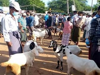 திண்டுக்கல் : அய்யலூர் சந்தையில் நேற்று மட்டும் ரூ.2 கோடிக்கு ஆடு, கோழிகள் விற்பனை