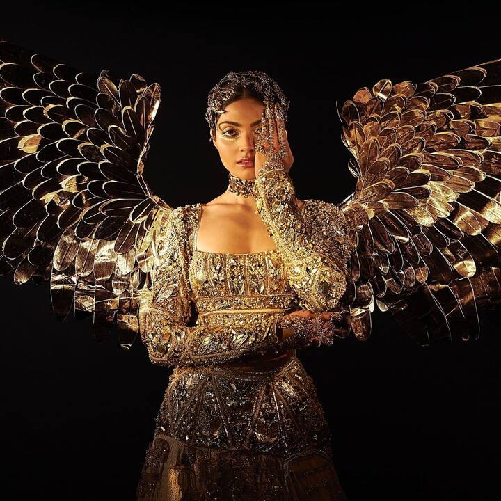 दिविता रायचा हा आकर्षक 'सोनपरी' लूक सोशल मीडियावर प्रचंड व्हायरल होत आहे.  (PC : DivitaRai/instagram)