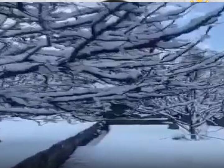 Fury of snow in Himachal! Traffic stopped on 275 roads of the state Snowfall in Himachal: ਹਿਮਾਚਲ 'ਚ ਬਰਫਬਾਰੀ ਦਾ ਕਹਿਰ! ਸੂਬੇ ਦੀਆਂ 275 ਸੜਕਾਂ 'ਤੇ ਆਵਾਜਾਈ ਠੱਪ