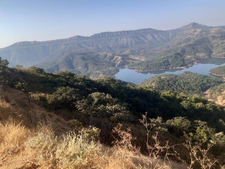 मुगदेव येथील ग्रामस्थांनी अपघातात जखमी झालेल्यांना त्वरीत रुग्णालयात दाखल केले आहे.
