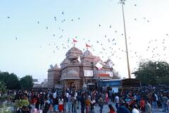 Salangpur Hanumanji Madir:સાળંગપુર હનુમાનજી મદિરે ઉતરાયણ પર્વ નિમિતે પતંગ દોરા અને ચીકીનો શણગાર કરવામાં આવ્યો, જુઓ તસવીરો