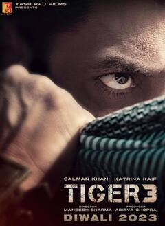Tiger 3 से लेकर ‘फिर आई हसीन दिलरुबा’ तक...साल 2023 में एंटरटेनमेंट की फुल डोज देंगे ये मोस्ट अवेटेड सीक्वल