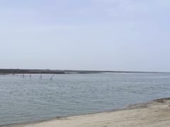 Palghar Fort: मराठा साम्राज्याच्या विजयी इतिहासाकडे दुर्लक्ष? केळवे पाणकोट जंजिरा किल्ला मोजतोय शेवटच्या घटका!