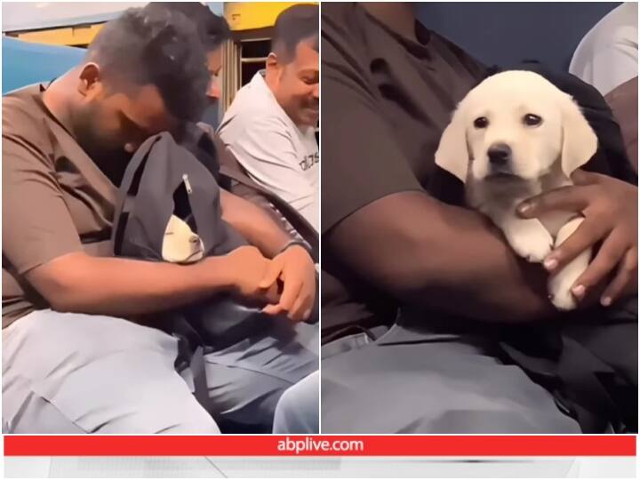 Man traveling by train with puppy in bag video goes viral Puppy को बैग में रख ट्रेन से सफर कर रहा शख्स, लाखों दिलों पर छाया Video