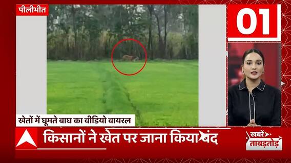 TOP News : देखिए आज दिन की सभी बड़ी खबरें ताबड़तोड़ अंदाज में... | TOP Headlines | Makar Sankranti