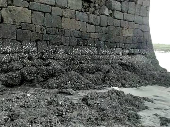 या किल्ल्याच्या दुरुस्तीची मागणी किल्ले संवर्धन प्रेमींकडून भारतीय पुरातत्त्व विभाग आणि केळवे ग्रामपंचायतकडे करण्यात आली आहे.