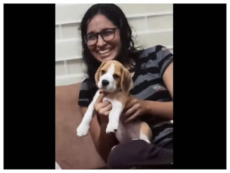 Anand Mahindra Shares Video Of Beagle Pup Enjoying Indian Classical Dance Music, Netizens Love It. Watch Anand Mahindra Shares Video Of Beagle Pup Enjoying Indian Classical Dance Music, Netizens Love It. Watch