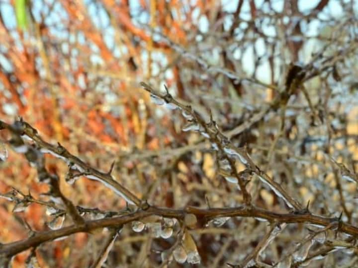 राजस्थान में सर्दी का सितम बढ़ता जा रहा है. शीत ऋतु (Winter Season) के दौरान प्रदेश के कई इलाकों में तापमान जमाव बिंदु से नीचे है. चूरू में न्यूनतम तापमान माइनस -0.7 डिग्री चला गया है.