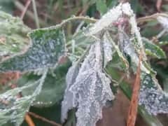 Rajasthan: રાજસ્થાનમાં છવાઈ બરફની ચાદર , સીકરમાં પહેલીવાર તાપમાનનો પારો માઈનસ 3.5 ડિગ્રી સુધી ગગડ્યો