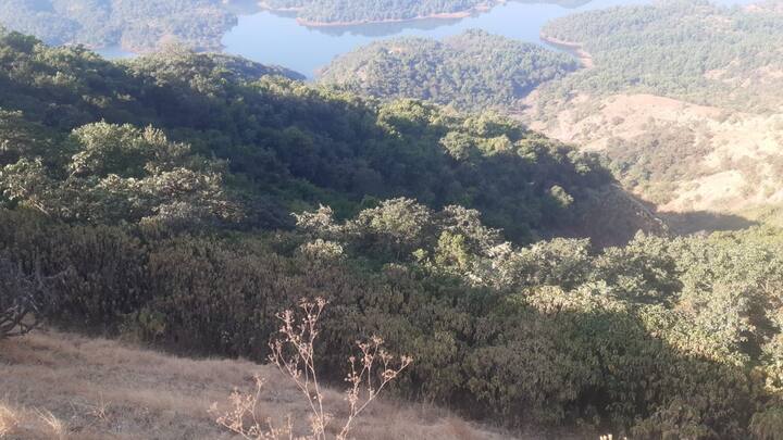 अपघाताची माहिती मिळताच मुगदेव येथील ग्रामस्थ घटनास्थळी दाखल झाले होते. ग्रामस्थांनी जखमींना बाहेर काढले.