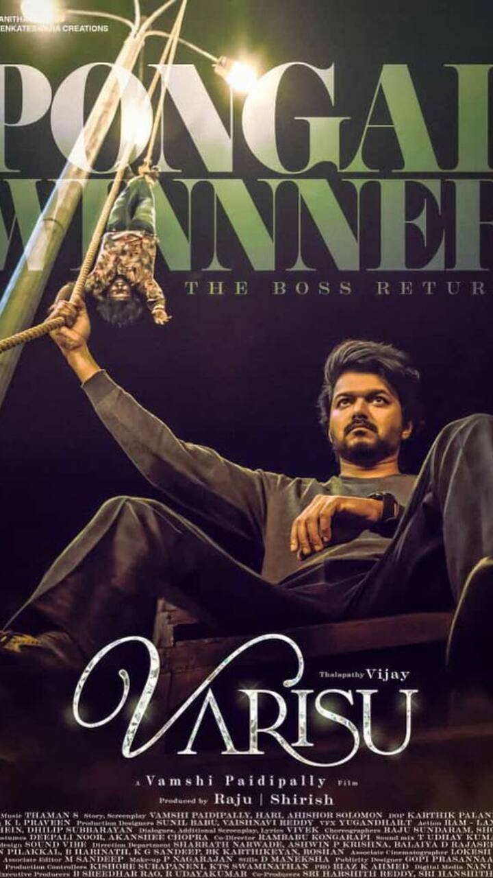 இதனால் வாரிசு படத்தை விஜய் ரசிகர்கள் கொண்டாடி வருகின்றனர்