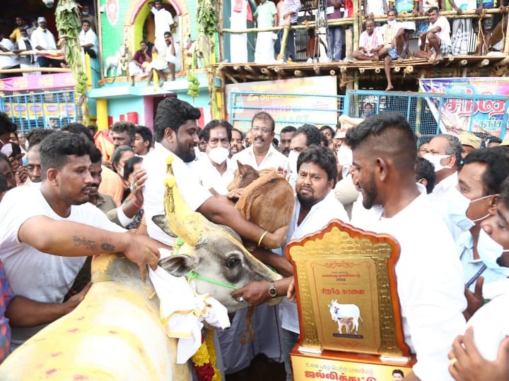 பாலமேடு ஜல்லிக்கட்டு போட்டிக்கு 4-வது முறையாக கன்றுடன் நாட்டுப் பசு வழங்கும் பொன்.குமார்