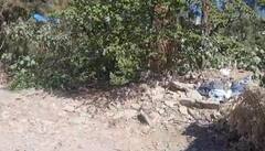 In Pics : ही कसली स्वच्छता! जी-20 परिषदेसाठी शहर साफ करताय की उकीरडे झाकताय...