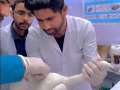 मकर संक्रांति को लेकर जारी की गई गाइडलाइन की उड़ी धज्जियां, हजारों पक्षी हुए घायल