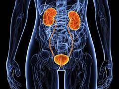 Toilet करने के पहले या बाद में पानी से पीने से सेहत को पहंचता है नुकसान या नहीं, जानिए एक्सपर्ट की राय