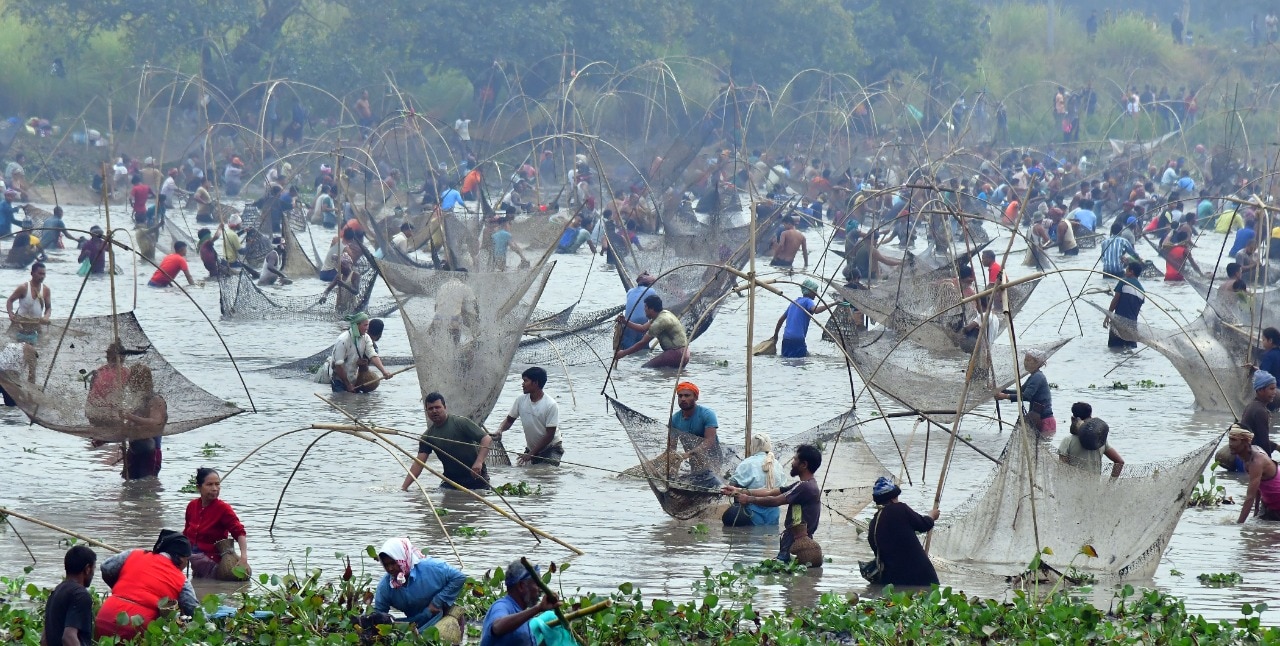 Assam: Community Fishing Marks Bhogali Bihu Celebrations In Villages