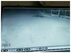 सावधान! मेरठ में अभी भी तेंदुए की दहशत है बरकरार, लोग घरों में दुबकने को मजबूर, CCTV में कैद हुई तस्वीर