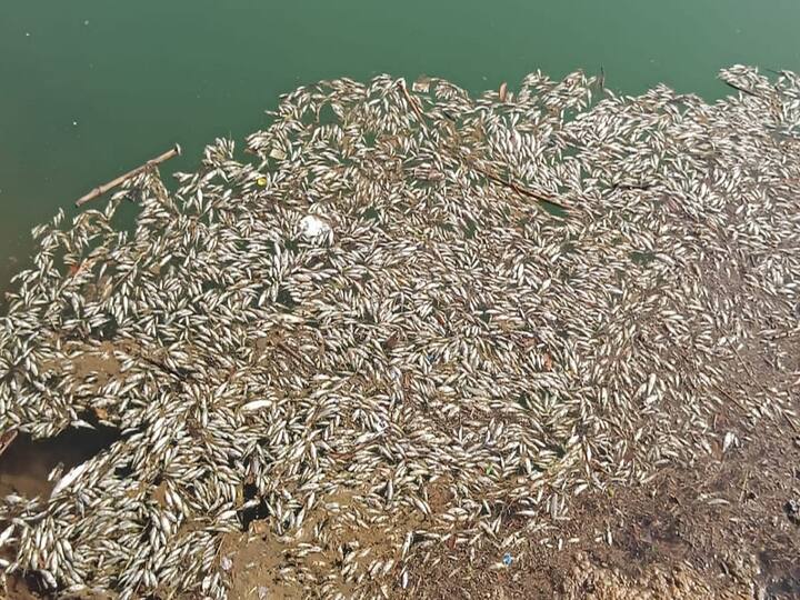 वेरोली नदी ही तलासरीतील झरी, गिरगाव, वडवली, वंकास,  सवणे, धामणगाव या गावातून वाहत पुढे समुद्राला मिळते.